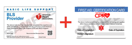 CPR and First Aid Class Aurora